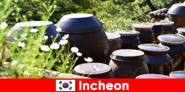 Obserwuj górskie jeziora i różnorodne rośliny w Incheon w Korei Południowej
