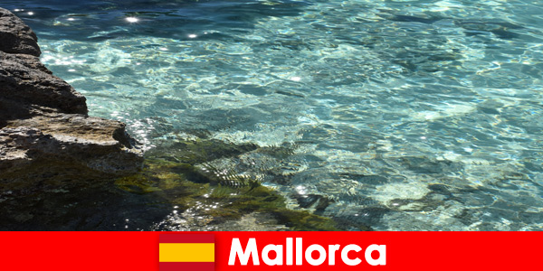 Wymarzonym miejscem tęsknoty wszystkich odwiedzających jest Majorka w Hiszpanii