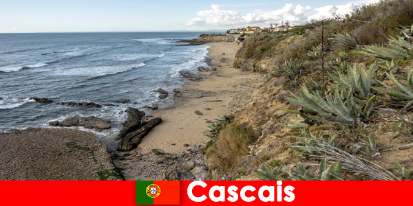 Długie wędrówki i pełne cieszenie się otoczeniem w Cascais w Portugalii