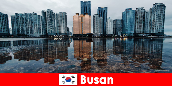 Niedrogie podróże i świetne zajęcia w Busan w Korei