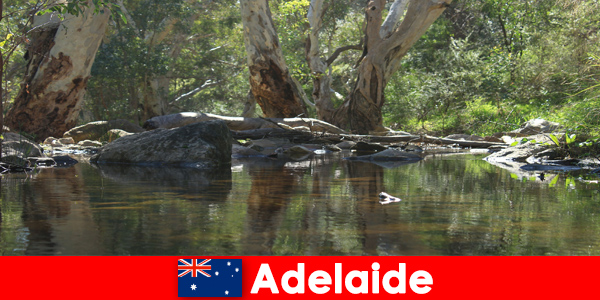 Doświadcz przyrody w najlepszym wydaniu w Adelaide