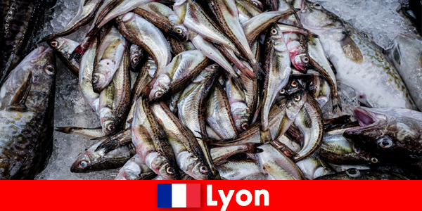 Świeże ryby i owoce morza przygotowane do perfekcji, którymi można się delektować w Lyonie